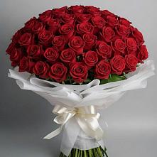 Букет 101 Красная роза Блэк Мэджик в Кизляре Республики Дагестан
