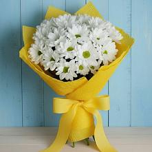 Букет цветов из:  Хризантемы в Кизляре Республики Дагестан