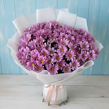 Букет цветов из:  Хризантемы в Кизляре Республики Дагестан