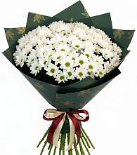 Букет цветов из:  Хризантемы в Кизляре Республики Дагестан