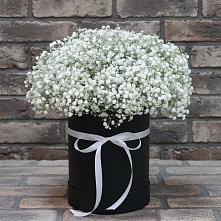 Цветочная композиция из Гипсофила в шляпной коробке в Кизляре Республики Дагестан