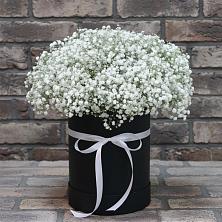 Цветочная композиция из Гипсофила в шляпной коробке в Кизляре Республики Дагестан
