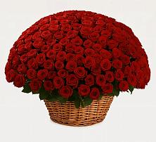 Премиум букет из: Розы в Кизляре Республики Дагестан