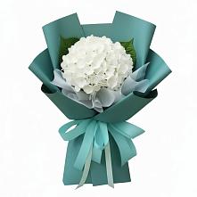 Букет цветов из:  Гортензия #REPLACE_PRED# Кизляре Республики Дагестан